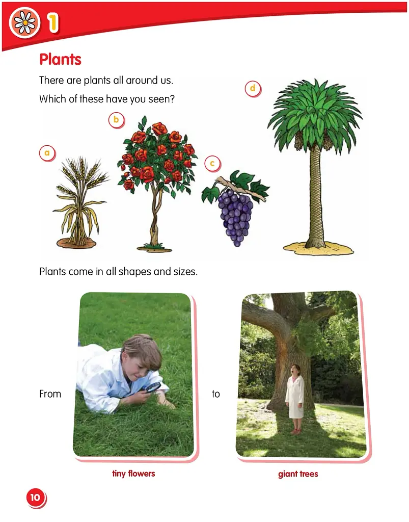 Macmillan Science 2 Student's Book & eBook - фото 2