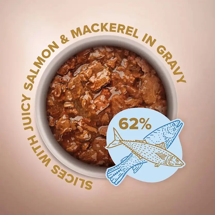 Вологий корм для дорослих собак малих порід Club 4 Paws Premium Шматочки з лососем та макрелью в соусі 85 г (B5530601) - фото 2
