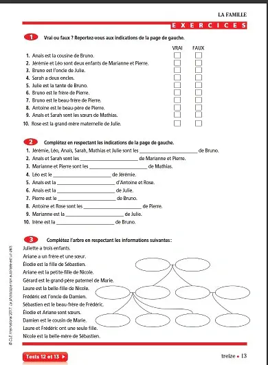 Vocabulaire Progressif du Francais. Niveau intermédiaire (A2/B1) + CD + App-web - Клер Мікель - фото 6