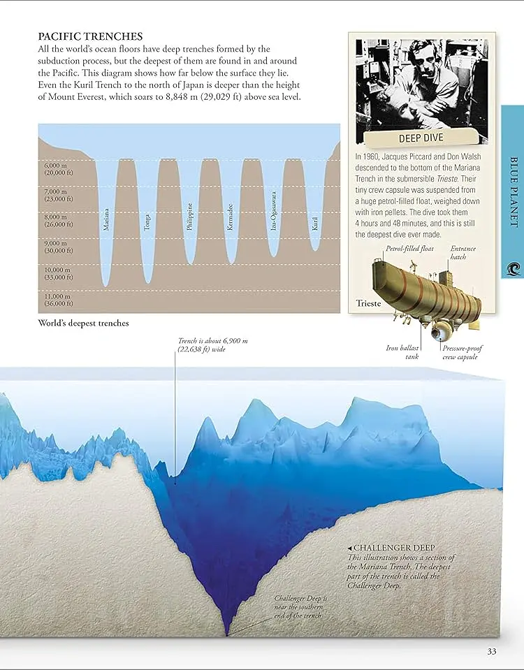 Ocean. A Children's Encyclopedia - - фото 5