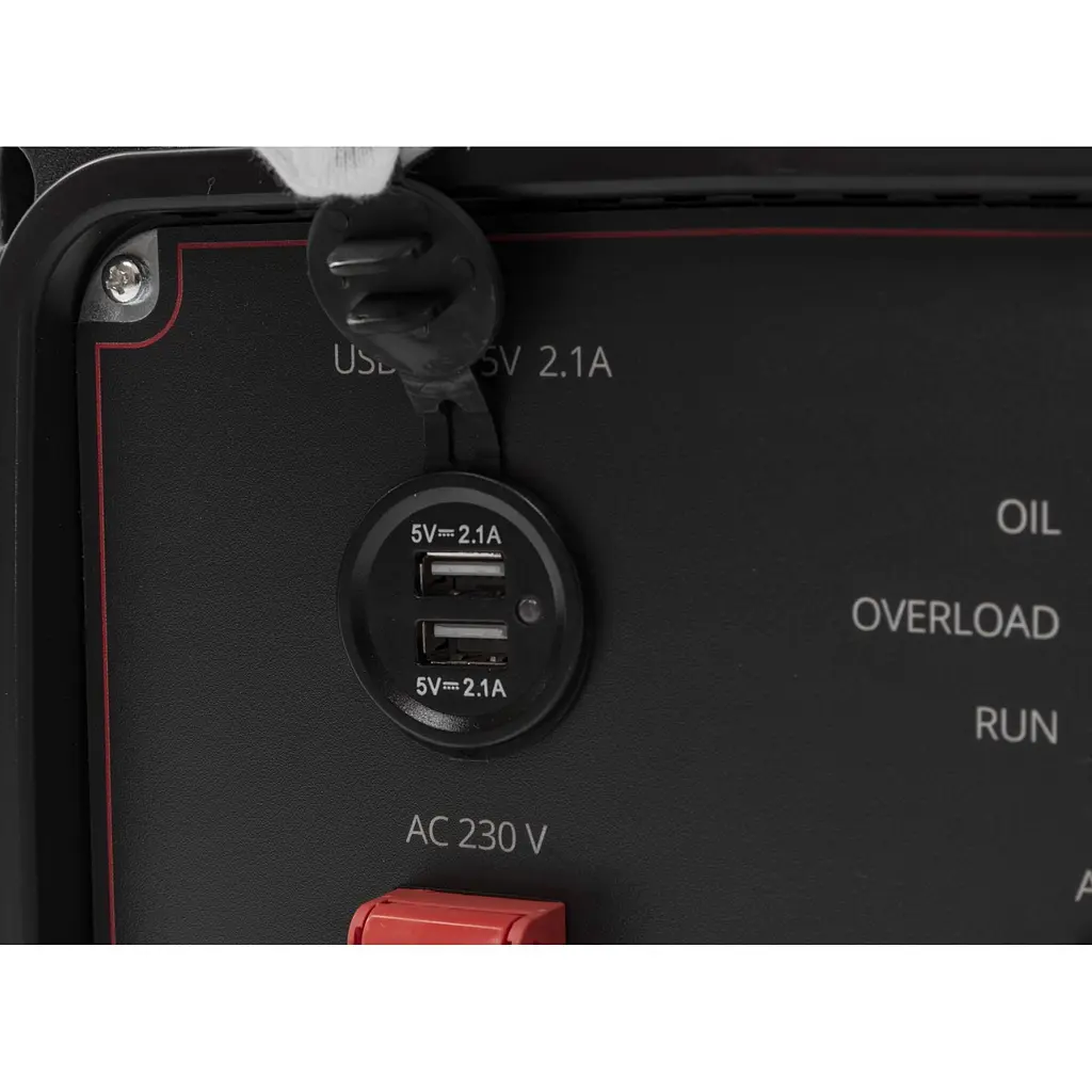 Інверторний бензиновий генератор Einhell TC-IG 2000 (4152590) [158777] - фото 13