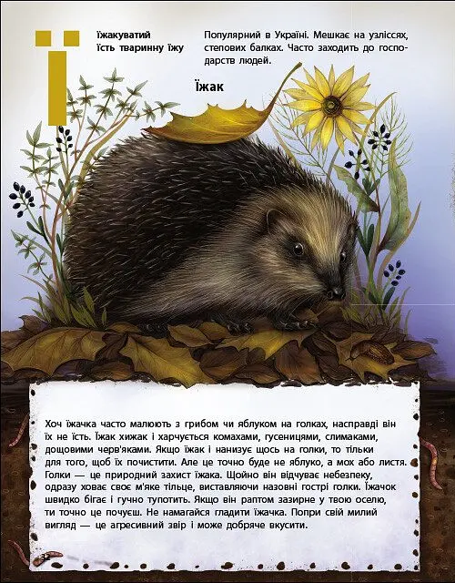 Живий світ України. Тварини та їх родичі в природі й у книжках - Наталія Коваль - фото 5