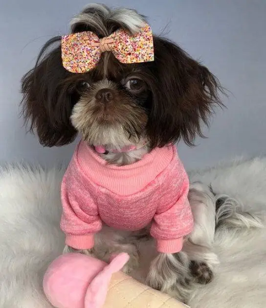 Кофта для собак та котів EcoToys Pink XS ряба рожева A: 20 см B: 31 см C: 19 см 7129 - фото 7