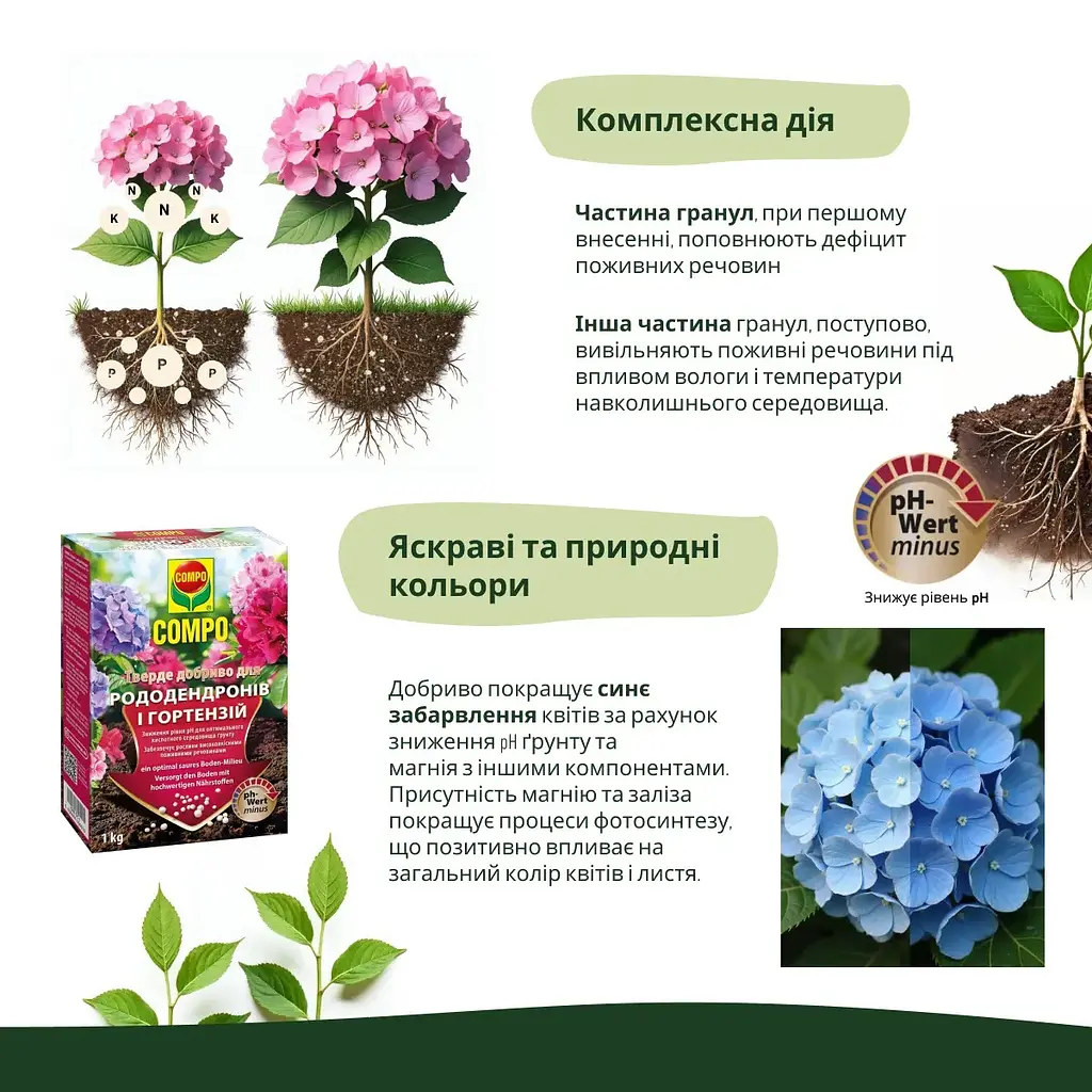 Тверде добриво COMPO для рододендронів і гортензій - фото 7