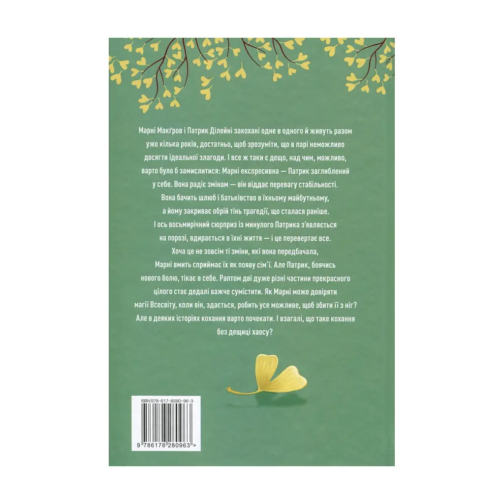 Книга Щаслива катастрофа - Медді Довсон Видавництво РМ (9786178280963) - фото 3