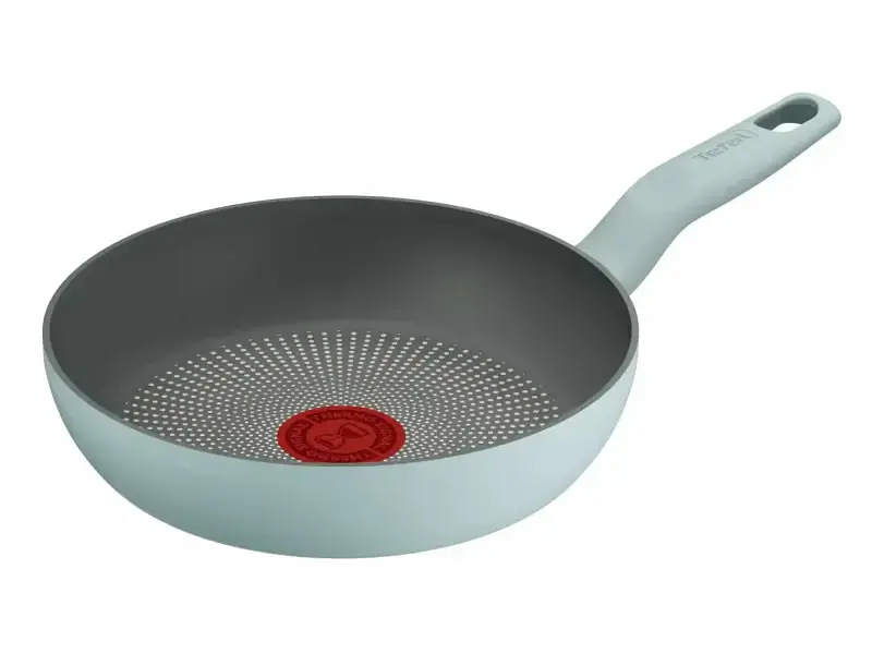Сковорода Tefal Halo Eucalyptus 24 см (G0160402)