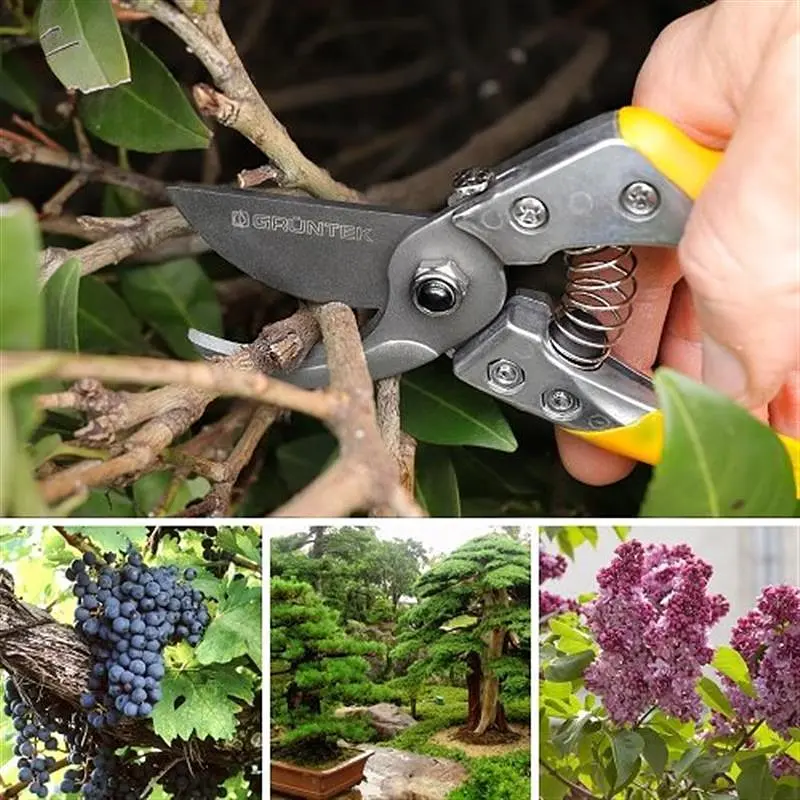 Секатор Gruntek Phoenix 200 мм (295200018) - фото 3