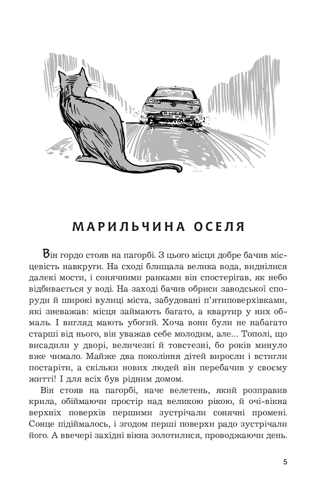 Чи бачать небеса котів - фото 3