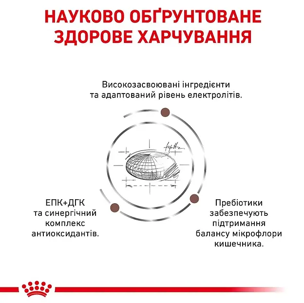Сухий корм для собак Royal Canin Gastro Intestinal 2 кг 39110201 - фото 4