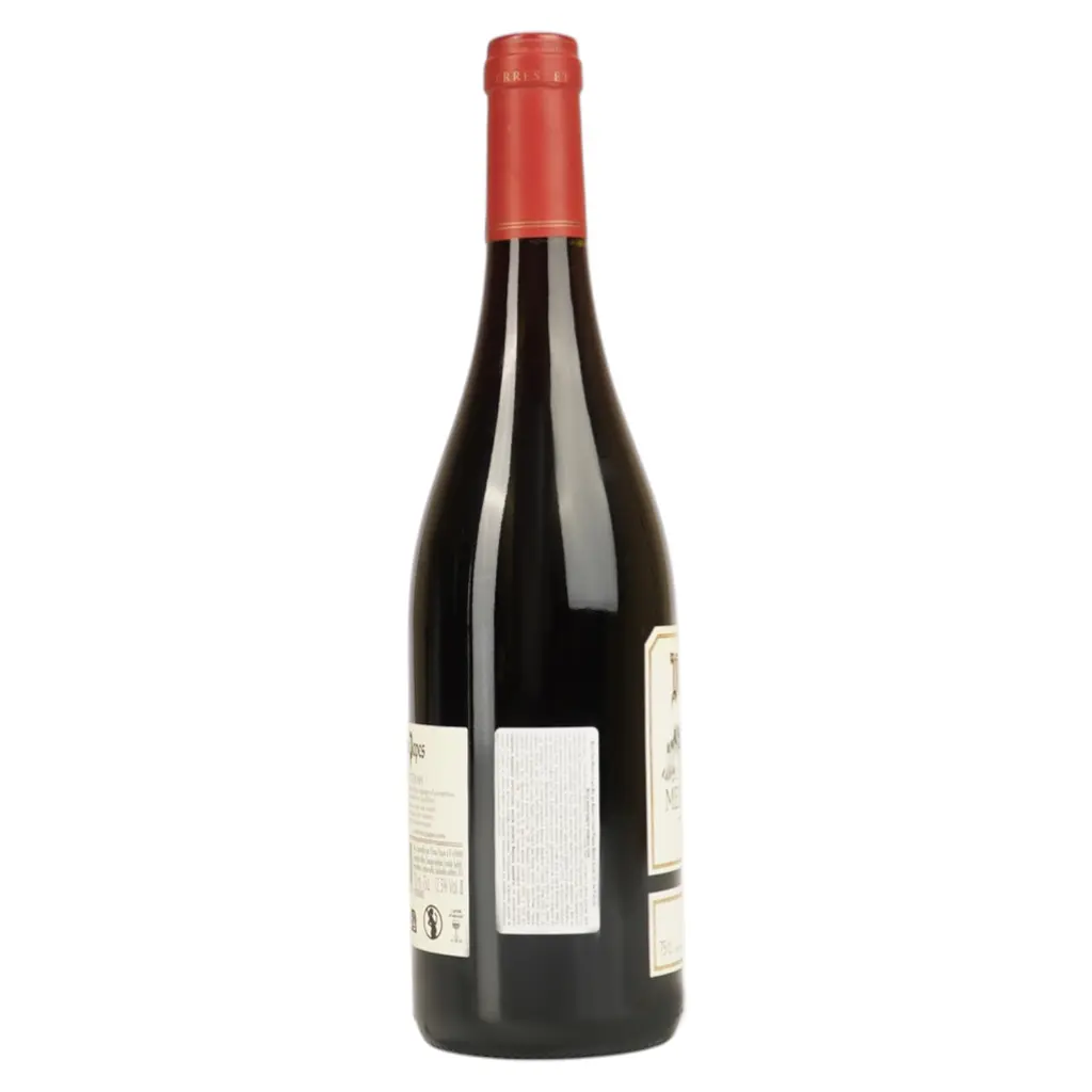Вино Vieux Papes Merlot Syrah Vin de France червоне сухе 0.75 л - фото 5