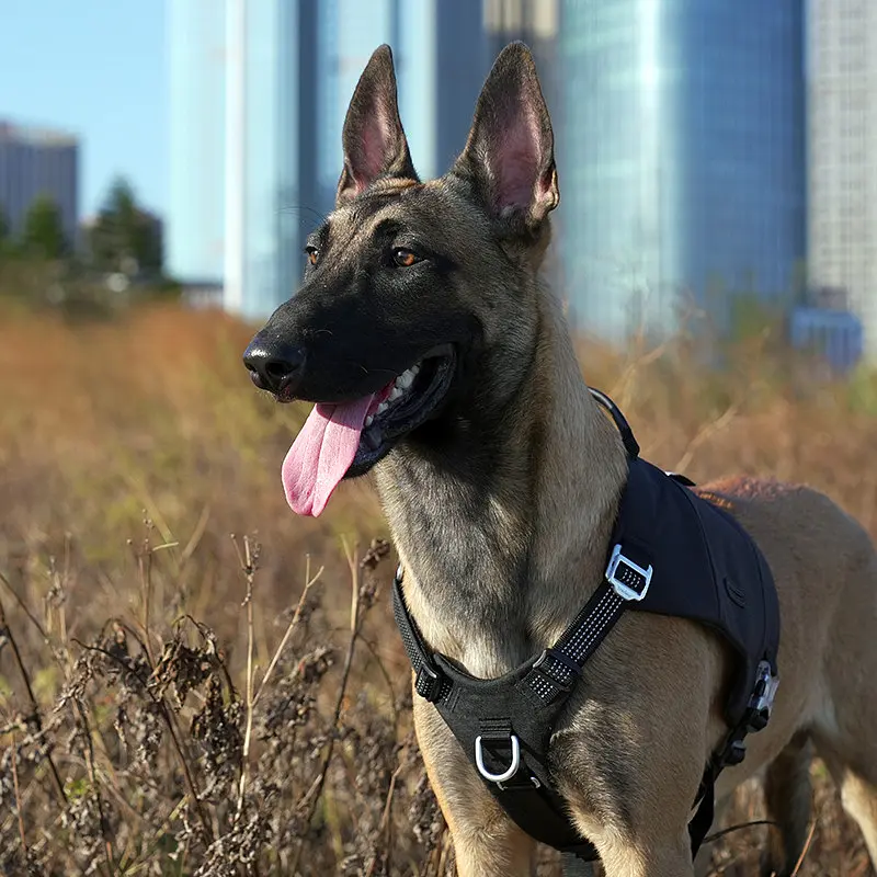 Шлейка для собак Truelove TLB2251 світловідбивна, з водонепроникної тканини Cordura, регульована Чорний, M - фото 5