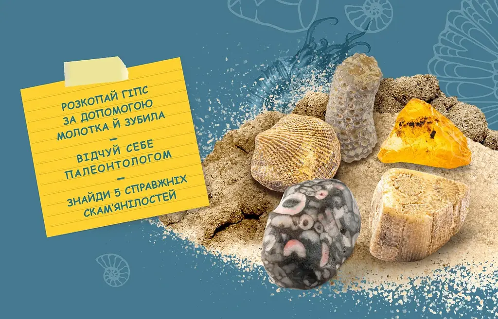 Розкопки скам'янілостей Kosmos - Набір для дослідження - фото 5