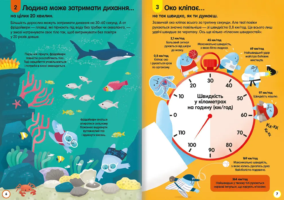100 фактів про людське тіло. Автор Алекс Фріт, Мінна Лейсі, Джонатан Мелмот і Меттью Олдгем - фото 6