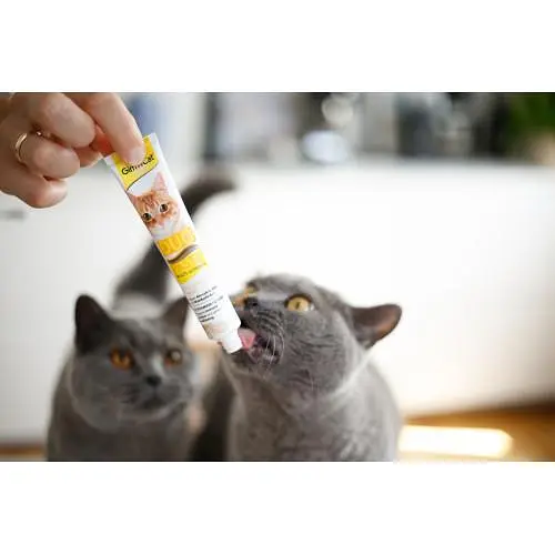 Паста для котів GimCat DUO PASTE Multi-vitamin 12 vitamins with cheese 12 вітамінів і сир, 50 г - фото 4