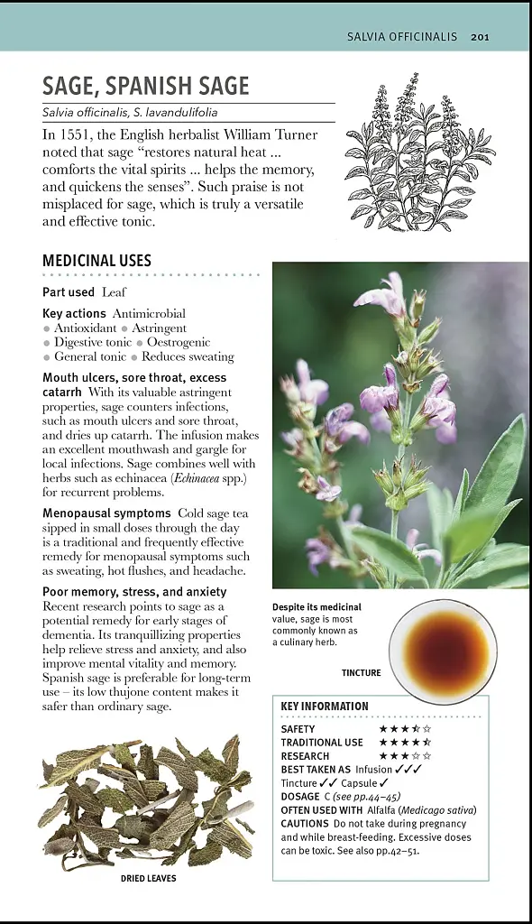 Herbal Remedies Handbook - фото 6