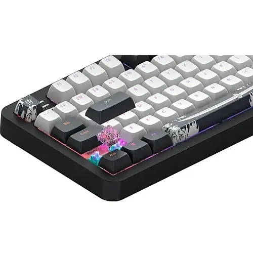 Клавіатура Dark Project ALU87 Bushido, Black/White, ENG/UA, USB, RGB підсвічування, кабель 1.8 м, 87 кнопки (DPKB_BUSHIDO_87_ANSI_UA) - фото 4