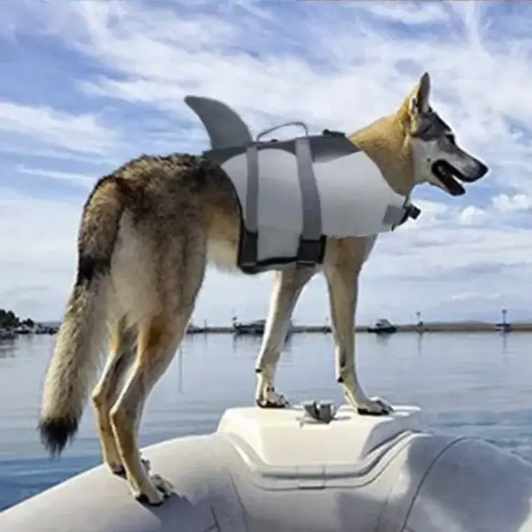 Рятувальний жилет для собак Shark Design - фото 4
