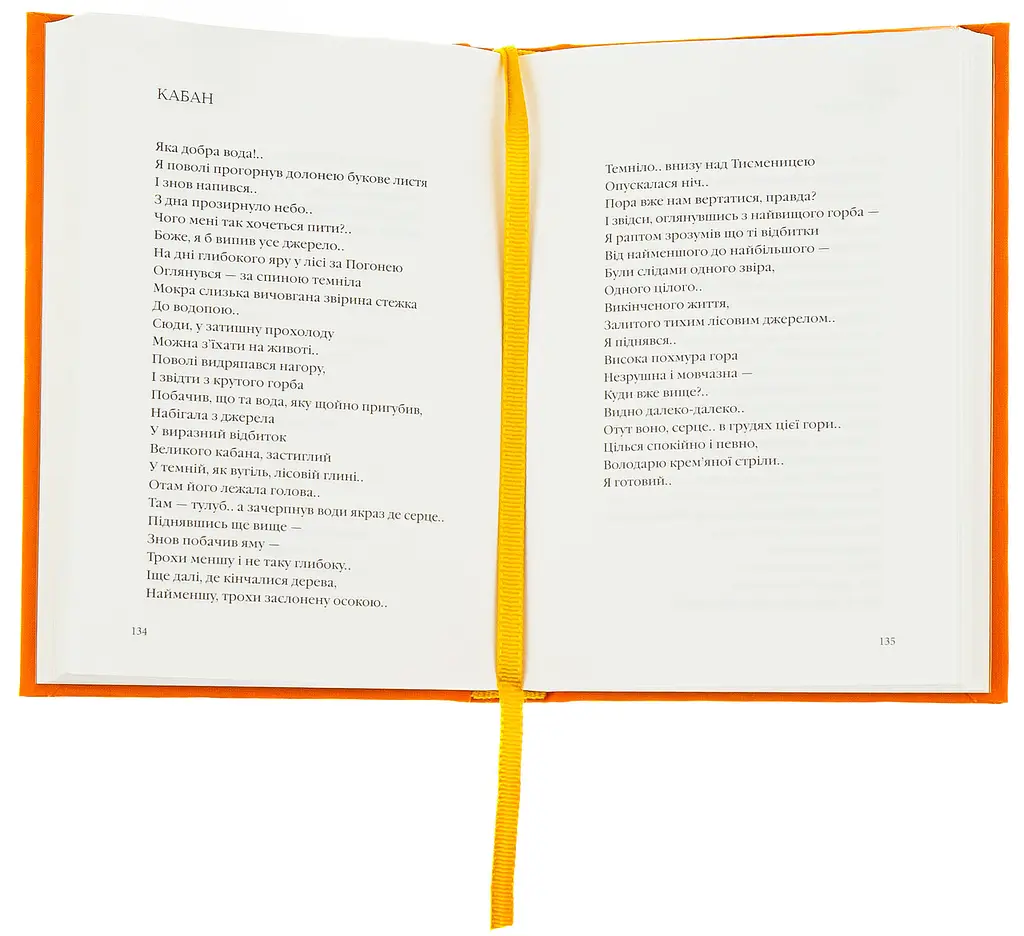 Зима в Тисмениці - Олег Лишега | А-БА-БА-ГА-ЛА-МА-ГА, книга українською, нова, тверда - фото 4