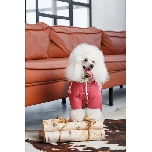Комбінезон Pet Fashion Cherry M для дівчаток - фото 7