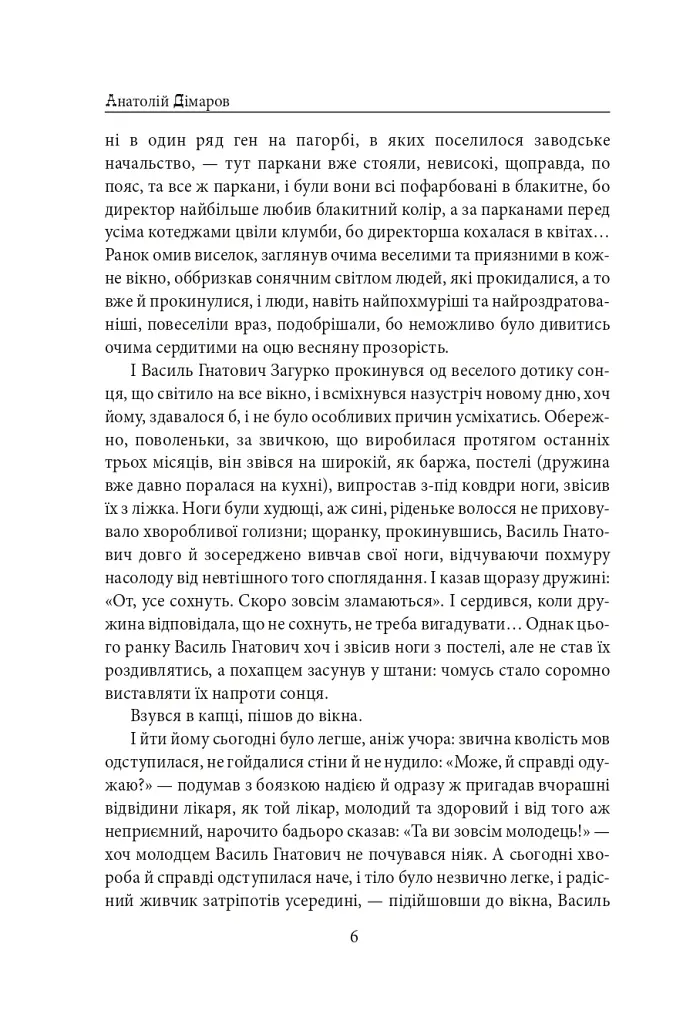 Містечкові історії - Анатолій Дімаров - фото 7
