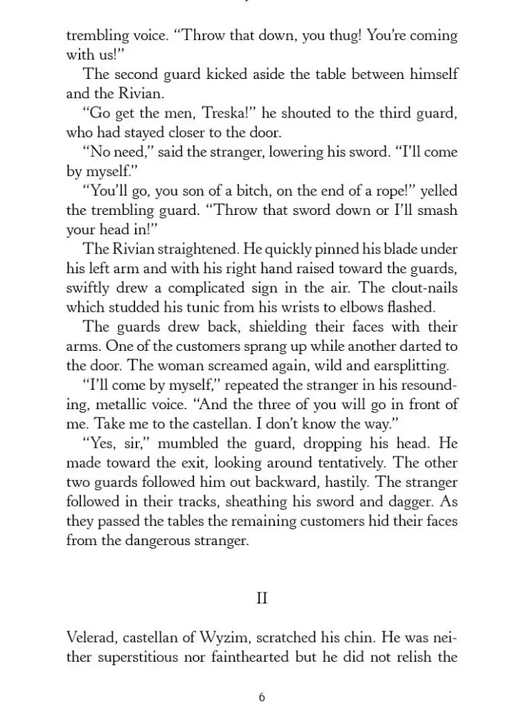 The Last Wish - фото 7