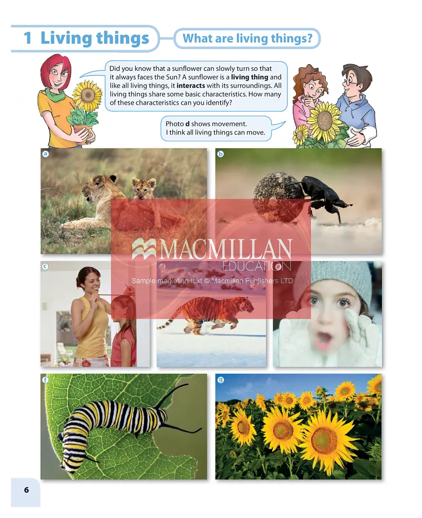 Macmillan Natural and Social Science. Level 5. Pupil's Book - фото 4