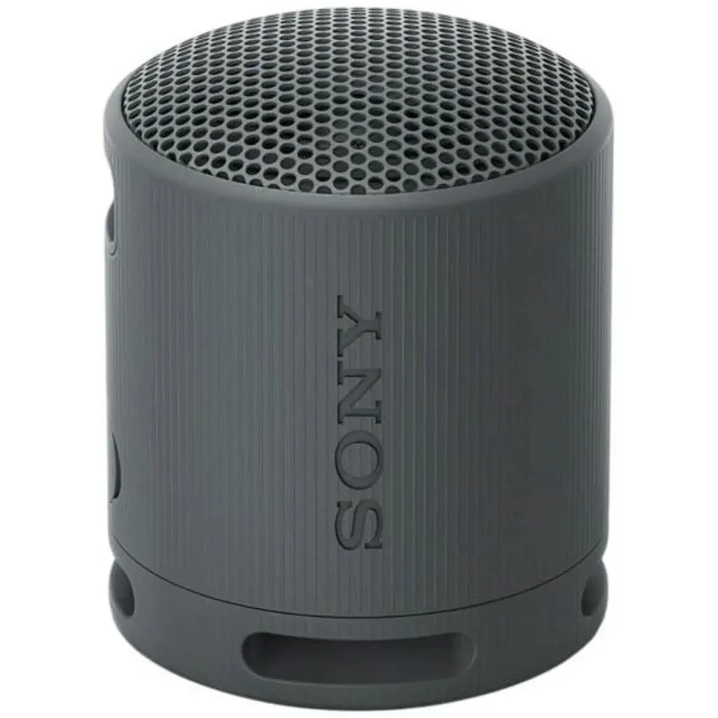 Портативна колонка Sony SRS-XB100 Black (SRSXB100B)