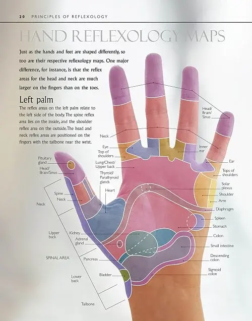 Reflexology - фото 4