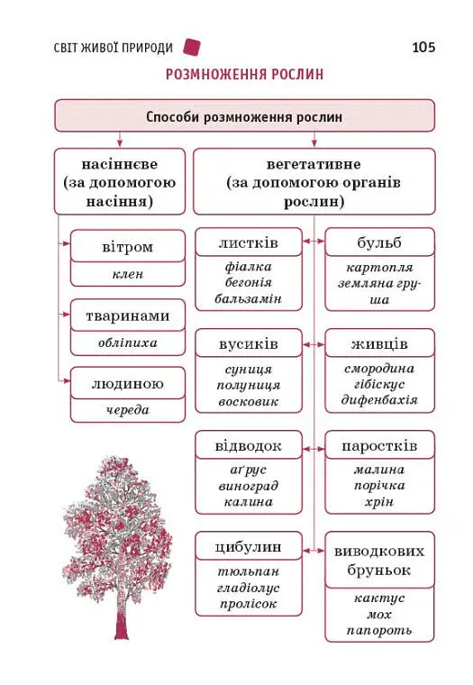Перший довідник учня 1-4 класи - О. Ю. Чекіна - фото 7