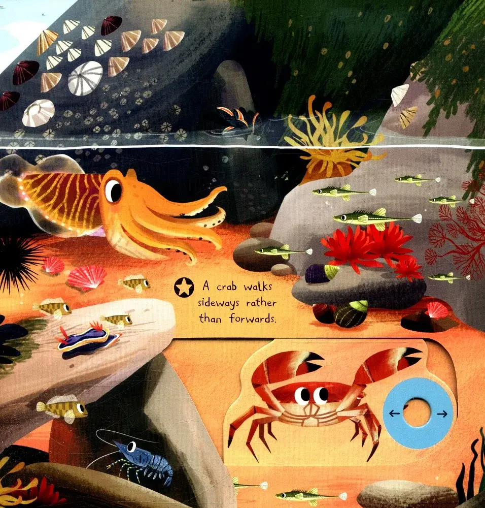 First Explorers. Sea Creatures - фото 5