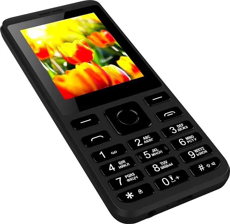 Мобільний телефон Nomi i249 Dual Sim кнопковий чорний - фото 2