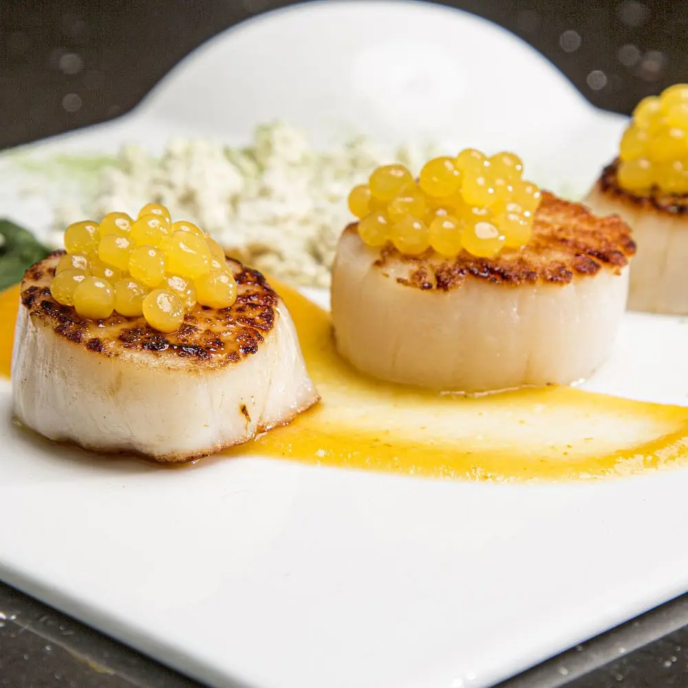 Набор ингредиентов Rommelsbacher FDS 3 для пищевого дизайнера Rommelsbacher FD 500 Perlino - фото 6