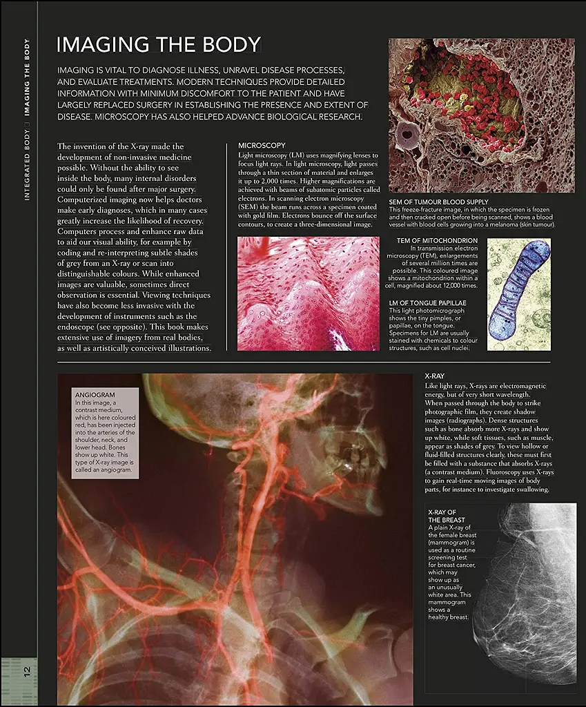 The Human Body Book - фото 2