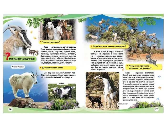 Книга Свійські тварини та їх дикі родичі, Пегас (укр.) - фото 2