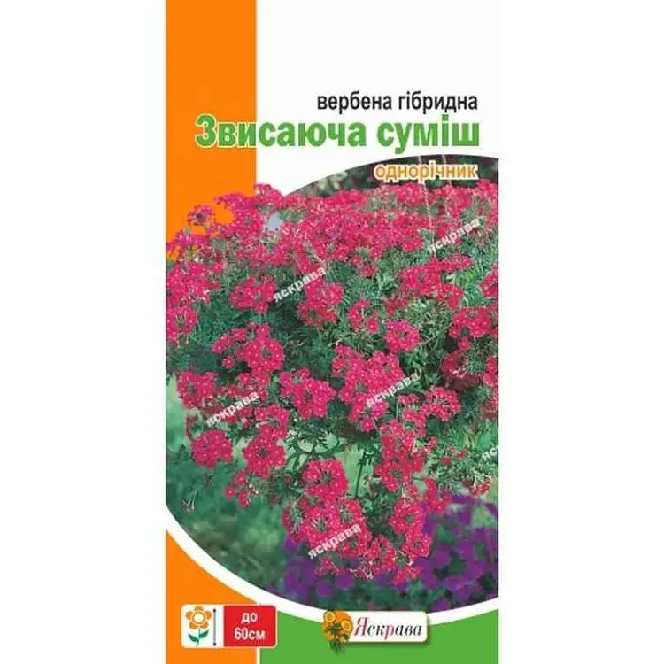 Вербена ЯСКРАВА гібридна звисаюча суміш (20 пачок) 0,1г