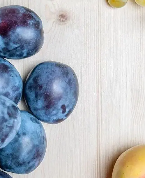 Саженец Agro-Market Слива Кубанская ранняя (летний сорт, ранний срок созревания) (37354) 1 шт. в упаковке - фото 3