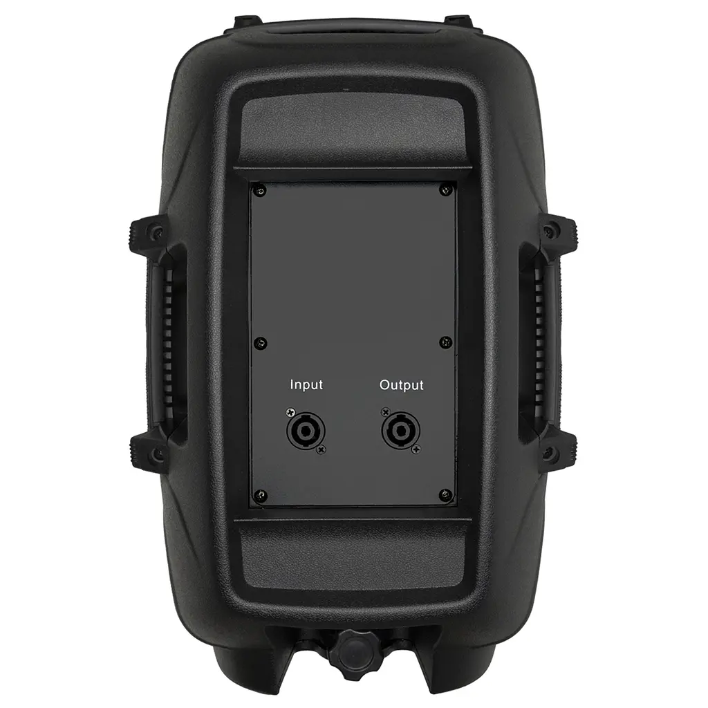 Комплект акустики активная + пассивная BIG JB15SET550W MP3/FM/Bluetooth - фото 4