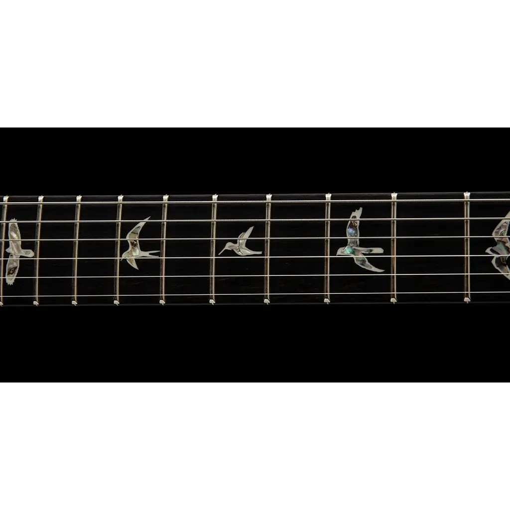 Електрогітара PRS SE Custom 24 Floyd Charcoal Burst (SECU4FLECA) [168138] - фото 11