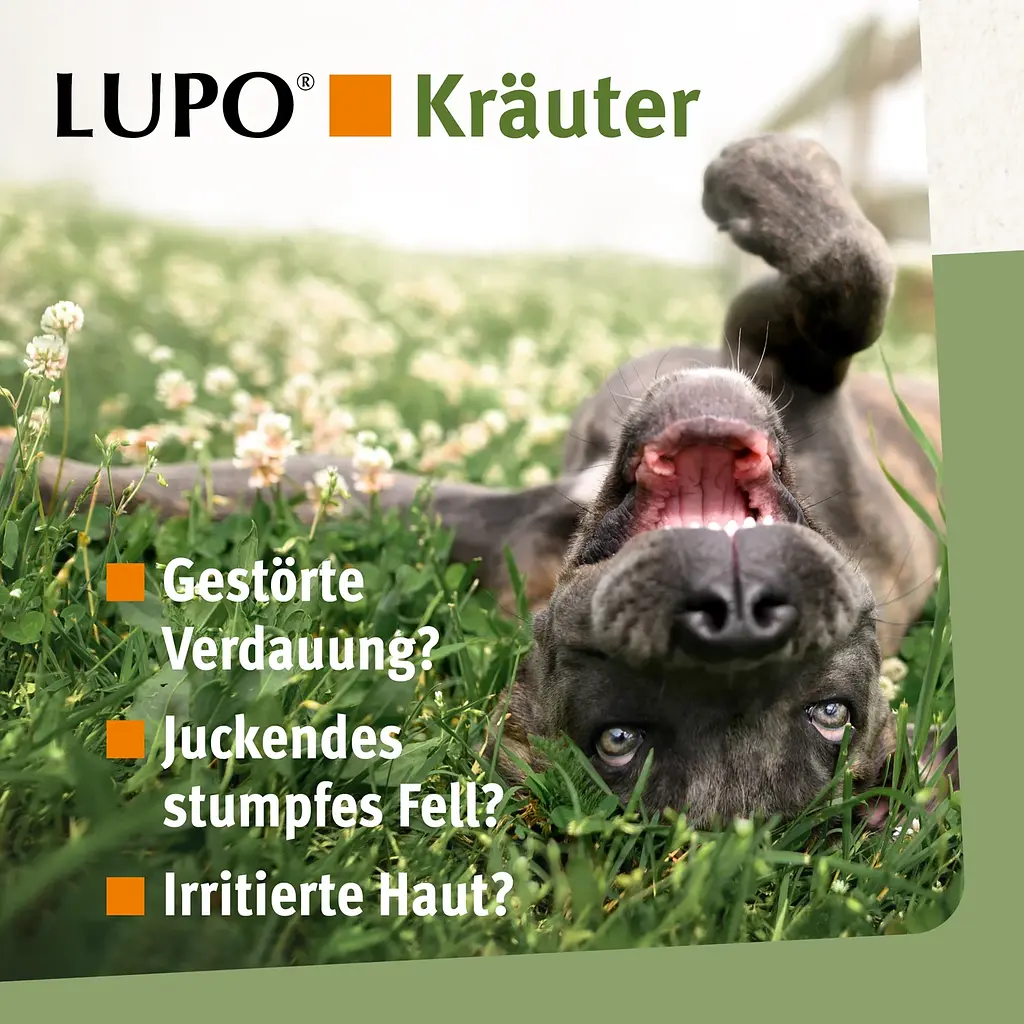 Мультивітамінний комплекс для собак Luposan LUPO Krauter Pellets 375 г - фото 6