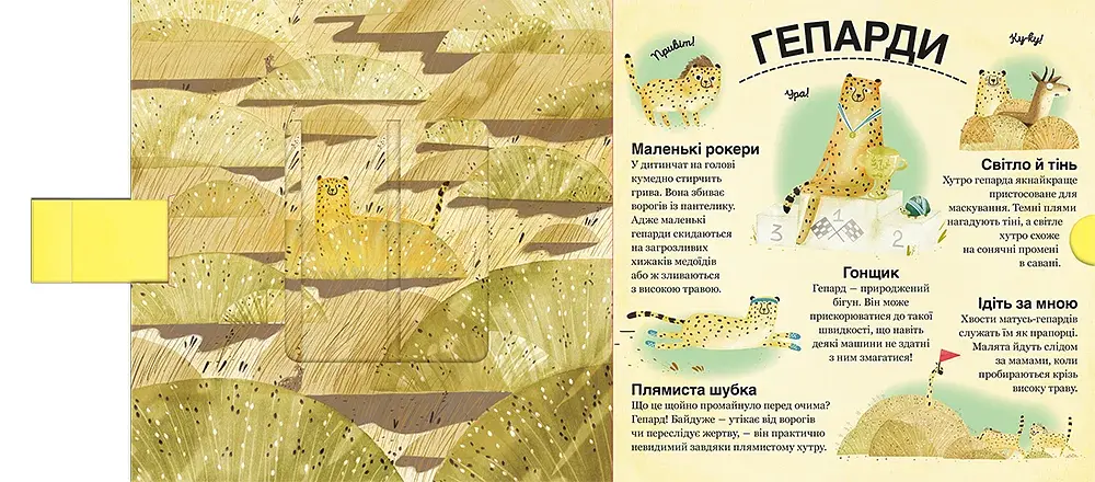 Хто ховається між листям й у воді - фото 5
