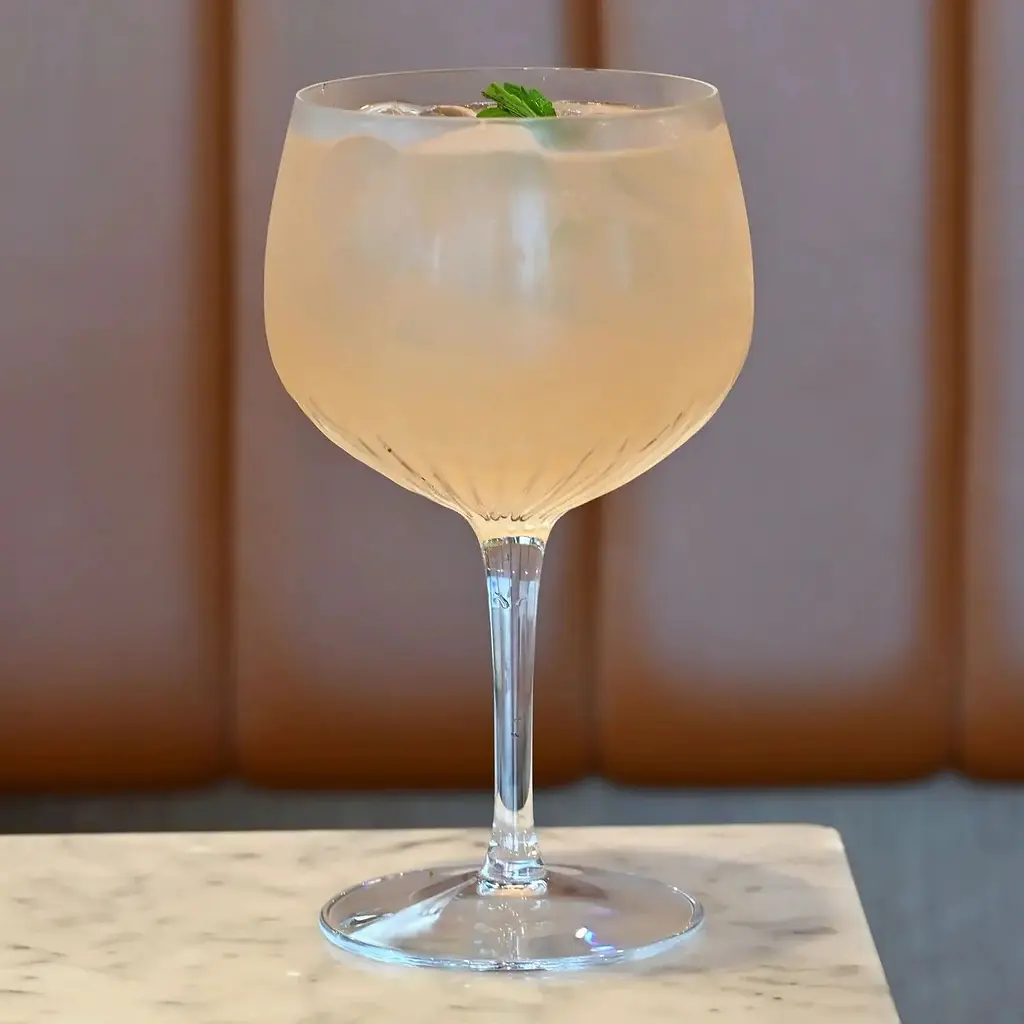 Набір келихів для джину Luigi Bormioli Mixology 550 мл 4 шт. (A13245G3382AA01) - фото 4