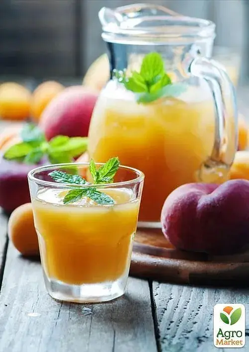 Саджанець Agro-Market Інжирний персик Сатурн (літній сорт, середній термін дозрівання) 1 шт. в упаковці (25783) - фото 4