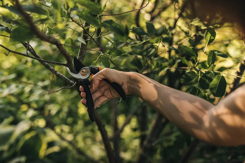 Секатор площинний Fiskars Solid M 321 (1057162) - фото 3