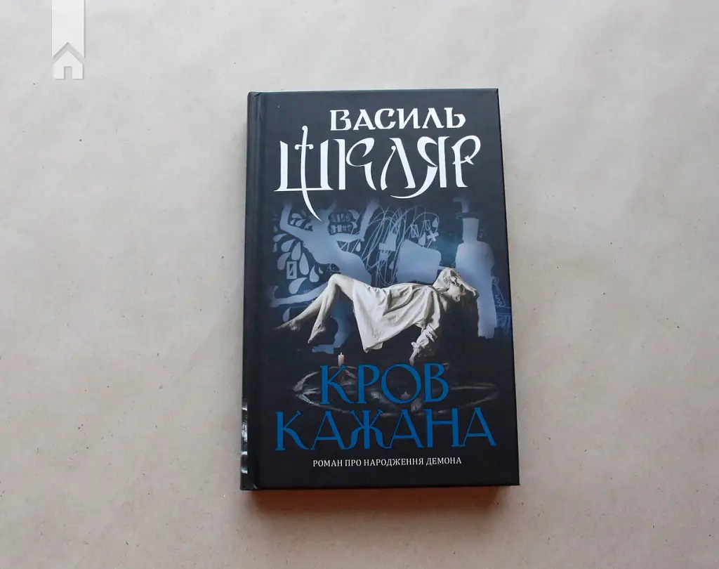 Кров кажана - Василь Шкляр - фото 3