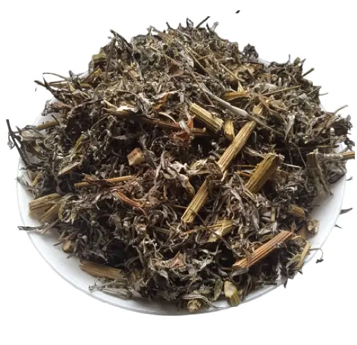 Полин звичайний Трава Чорнобильник Нехворощ Artemisia vulgaris - фото 2