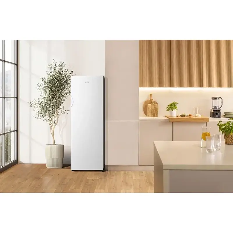 Морозильна камера GORENJE FN4172CW - фото 9