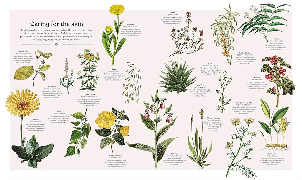 The Herb Book - фото 4