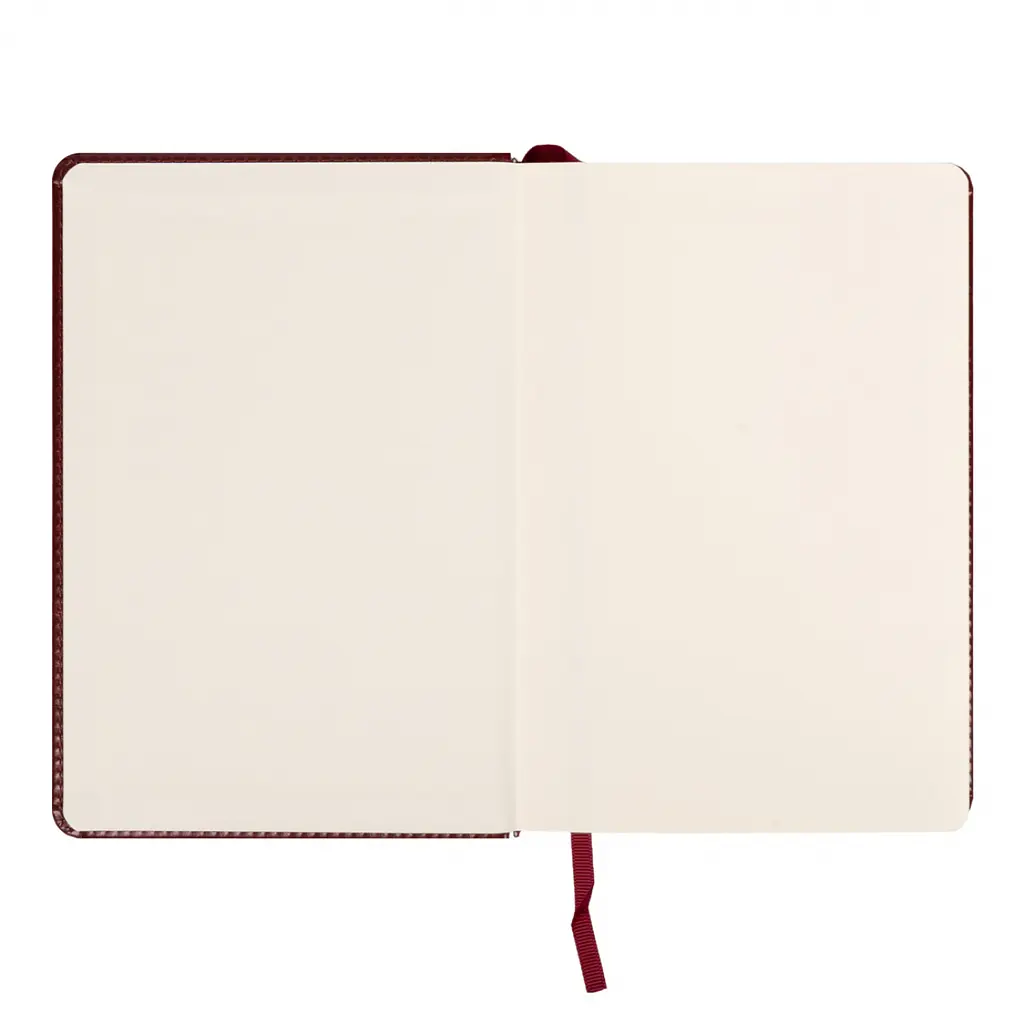 Щоденник діловий Leo Planner 2027 Vector А5 твердий коричневий 368 сторінок (252759) - фото 3