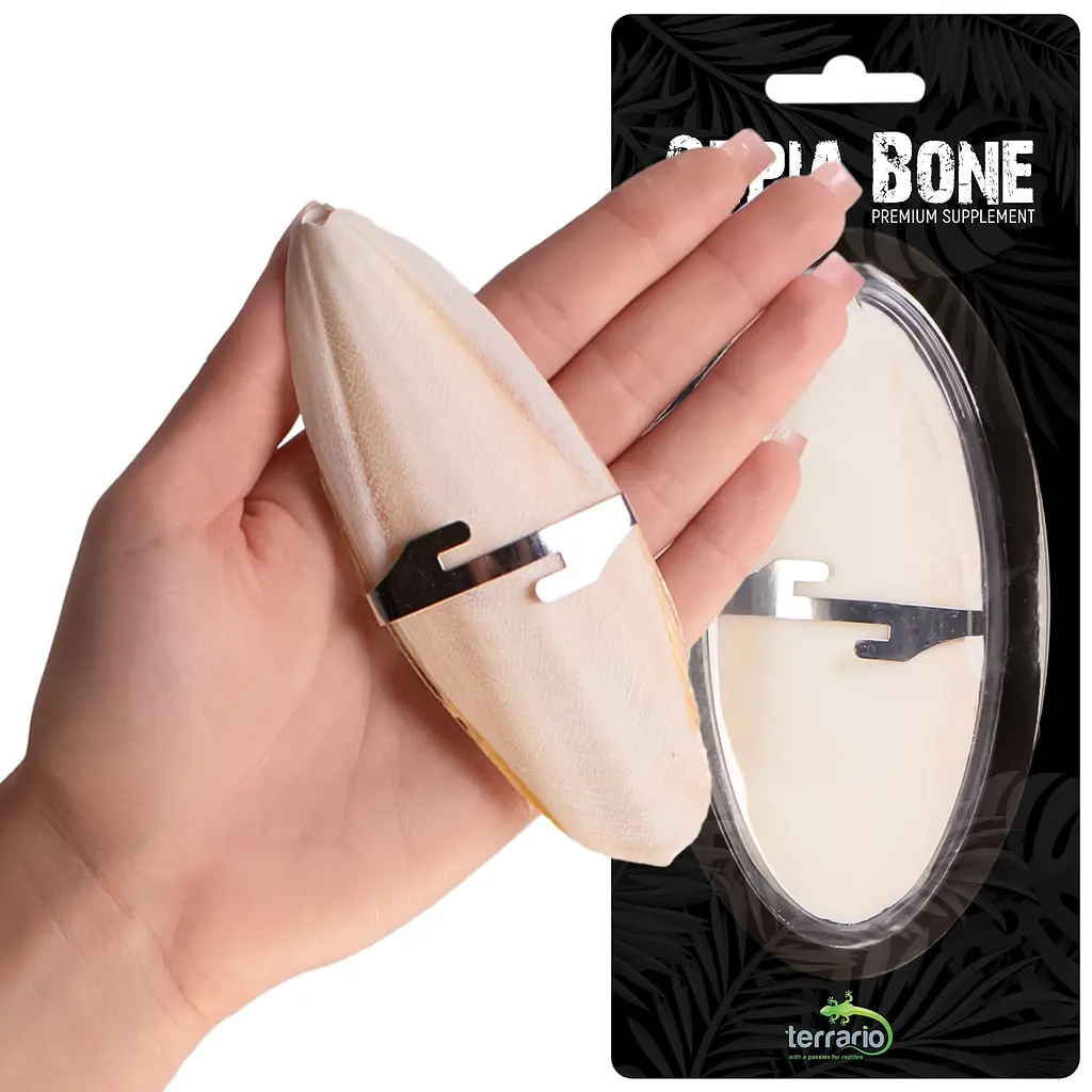 Сепія для черепах, природний вапняк для рептилій Terrario Sepia Bone 10-15см - фото 3