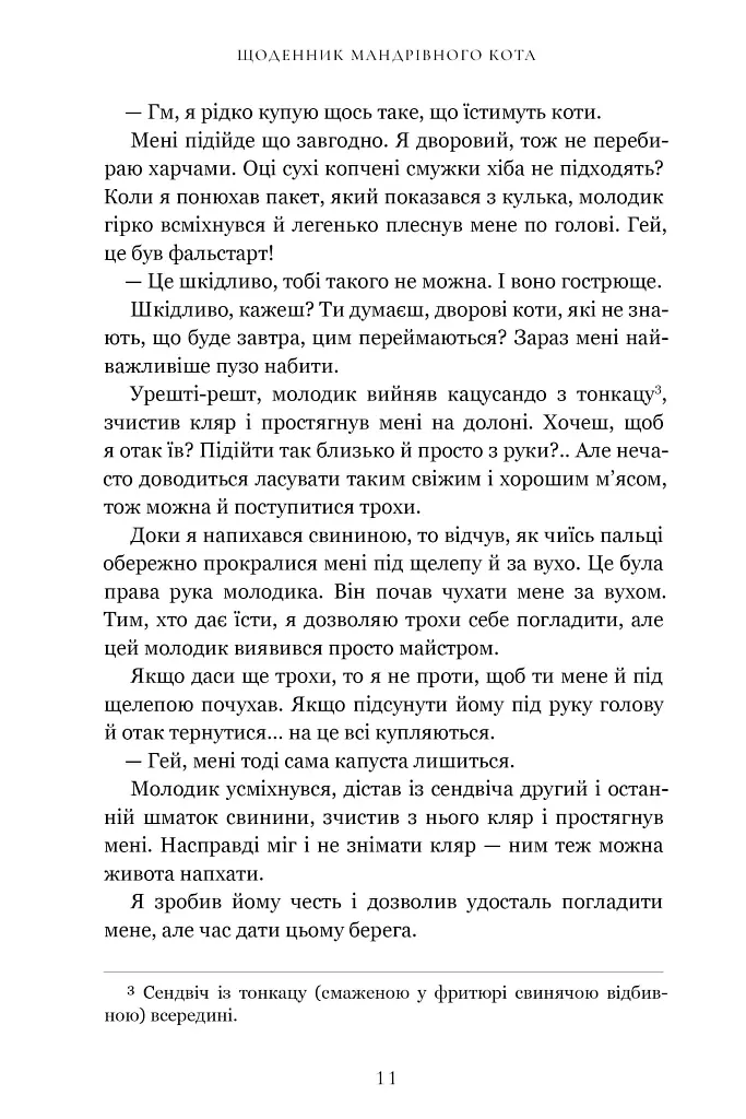 Щоденник мандрівного кота - Хіро Арікава - фото 5